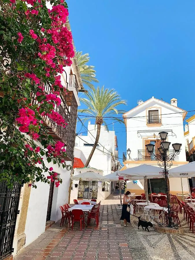 Apartment Brand New In The Best Location In Marbella